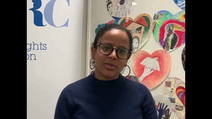 Non-Discrimination and Equality - A PANEL Principle