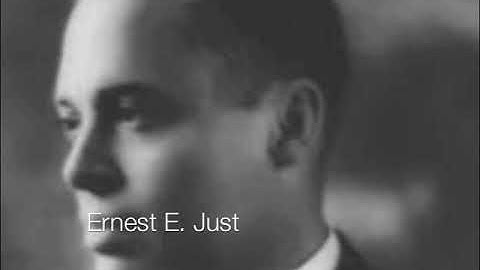 100 Years of Omega Psi Phi