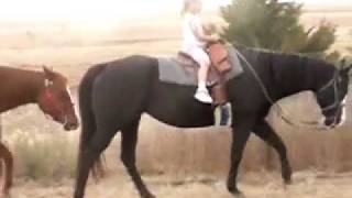 4 Sale Four Year Old Blue Roan Appaloosa Mare With 7 Year Old Riding Bareback