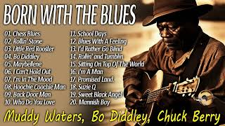 Born With The Blues Music (Blues Tribute) - McCall Brothers Band, Chuck Berry, John Lee Hooker...