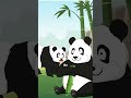 The giant pandas are so lazy to mate with their partners that humans have to help them manually