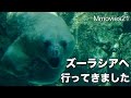 春のよこはま動物園ズーラシア２０１６ の動画、YouTube動画。