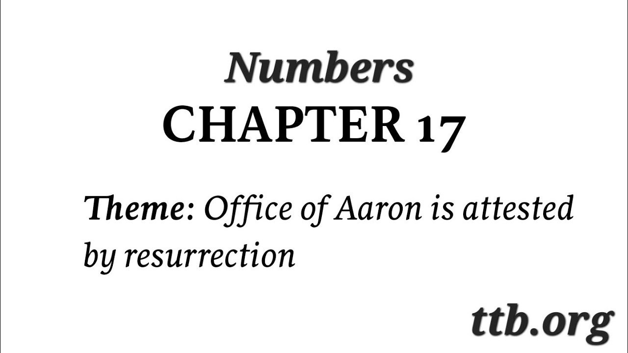 Numbers Chapter 17 Bible Study YouTube Numbers Chapter 17 Bible Study YouTube