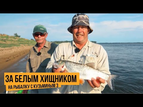 За белым хищником / На рыбалку с Кузьминым 3 // №9