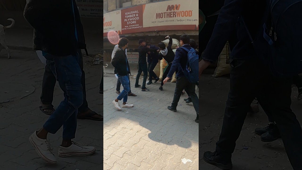 Day 41 || Aaj Ka survey 🧐 