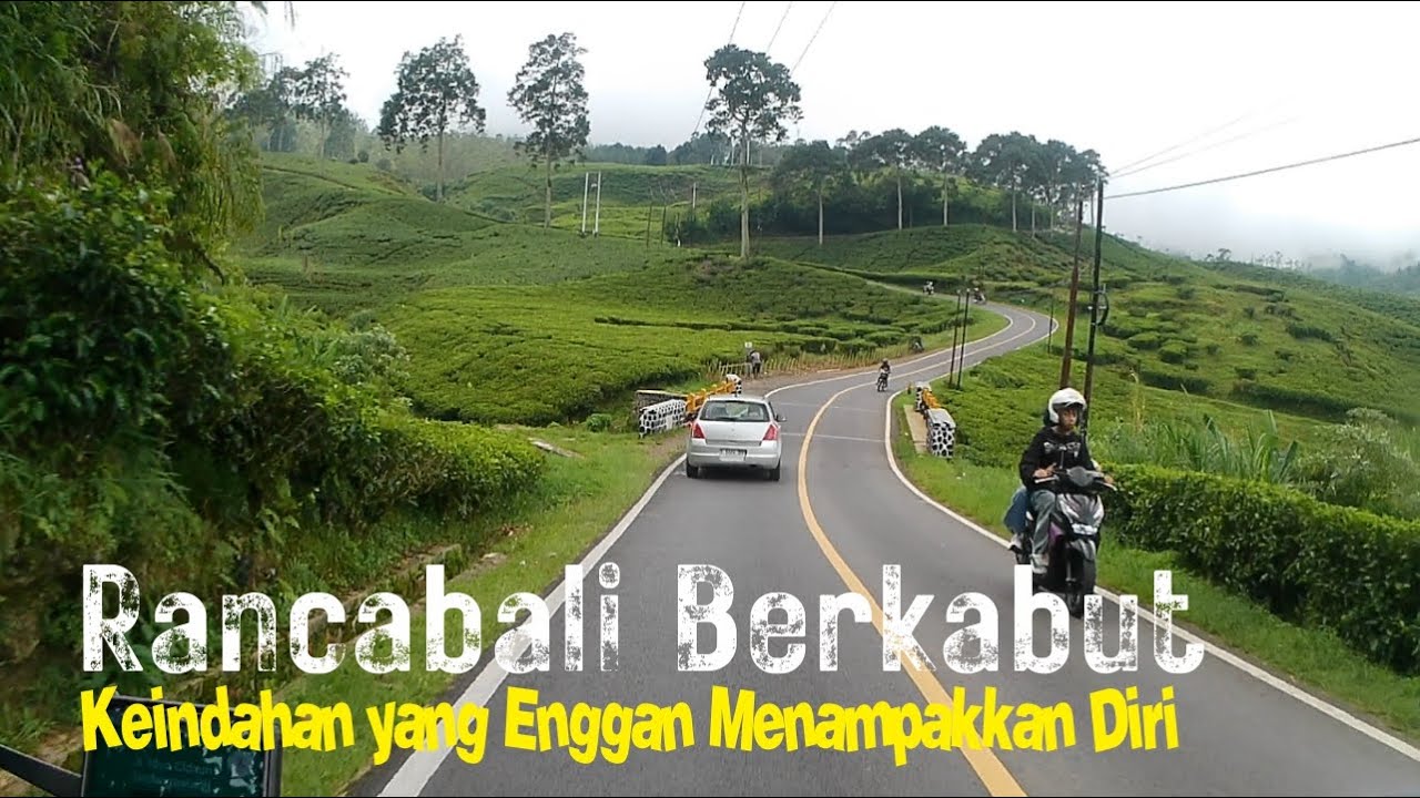 Rancabali Berkabut, Keindahan yang Enggan Menampakkan Diri