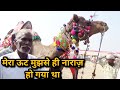 लटू ऊट ने दिखाया अपना जलवा हनुमानगढ़ मे