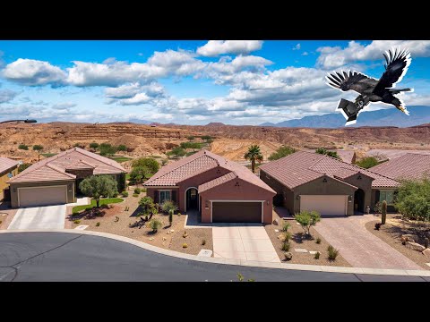 1416 Firefly Run, Mesquite, NV home video tour