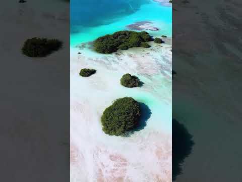 The  Maldives of Mexico  or  The Lagoon of Seven Colors #shorts #travel #youtubeshorts