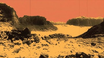 Bermuda Triangle Service "100 Camels" Official Video