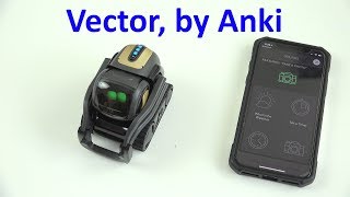 Vector the Good Robot, by Anki (Unboxing and First Look!)