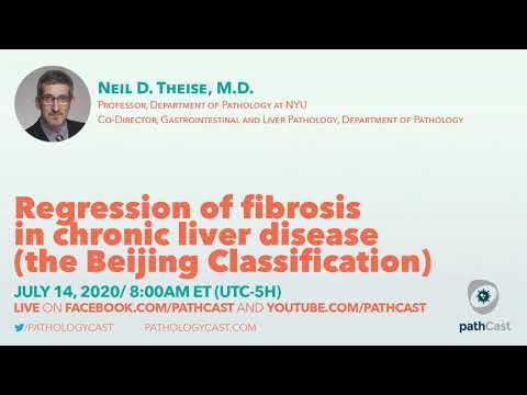 Regression of fibrosis in chronic liver disease - Dr. Theise (NYU) #LIVERPATH