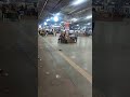 Indian Railway Delay 😱 Pawan Express Reaches Bhusaval Late