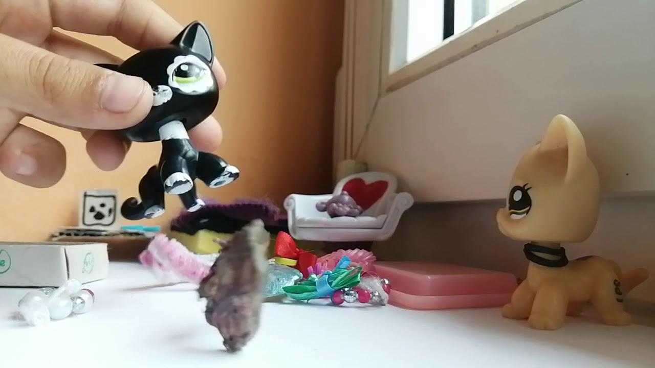 LPS rozmazlená Misy