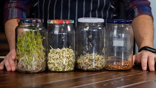 How To Grow Sprouts In Seven Days  Multiple Seeds At Once