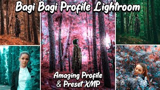 50K Subscriber, Bagi2 Profil & Presets XMP Terkeren | Lightroom Mobile