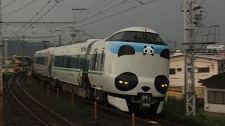 【JR阪和線】紀伊中ノ島駅 新・パンダくろしお(サステナブルSmileトレイン):白浜行 通過