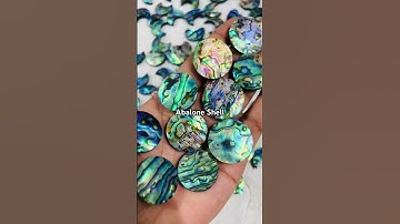 Abalone Shell🐚|| #abaloneshell #shell #crystals #fypシ #foryou #trending #viral #sfgems #opals #fyp