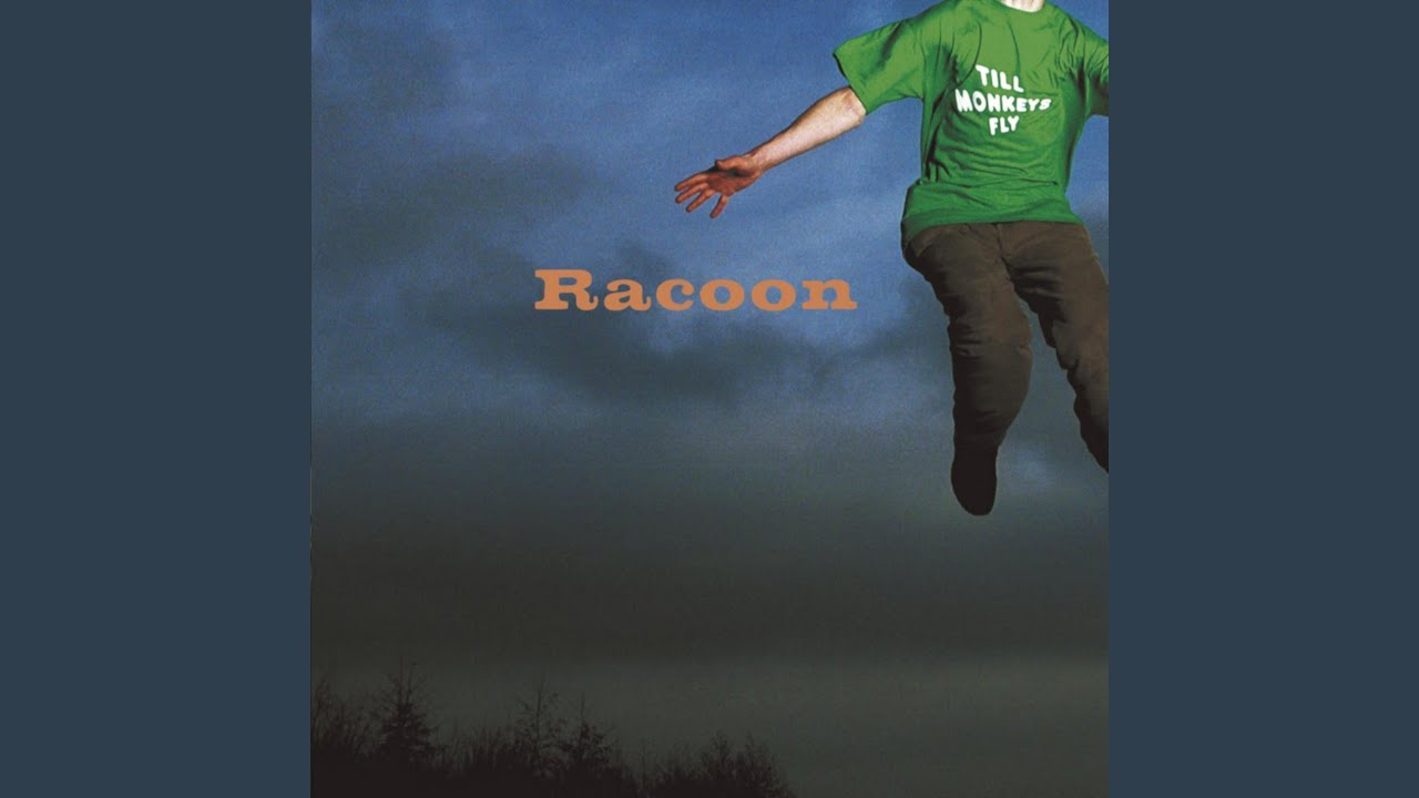 Ice cream time — Racoon (video)