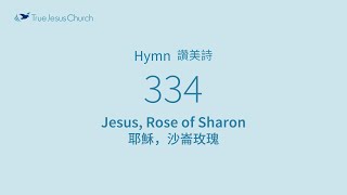 334 - Jesus, Rose of Sharon