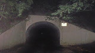 Bunnyman Bridge | Creepypasta
Join my Patreon: https://www.patreon.com/Jomar1001001
Subscribe to My Channel!: https://www.youtube.com/user/jomar1001001?sub_confirmation=1
Story Read: https://creepypasta.fandom.com/wiki/Bunnyman_Bridge Bunnyman Bridge | Creepypasta