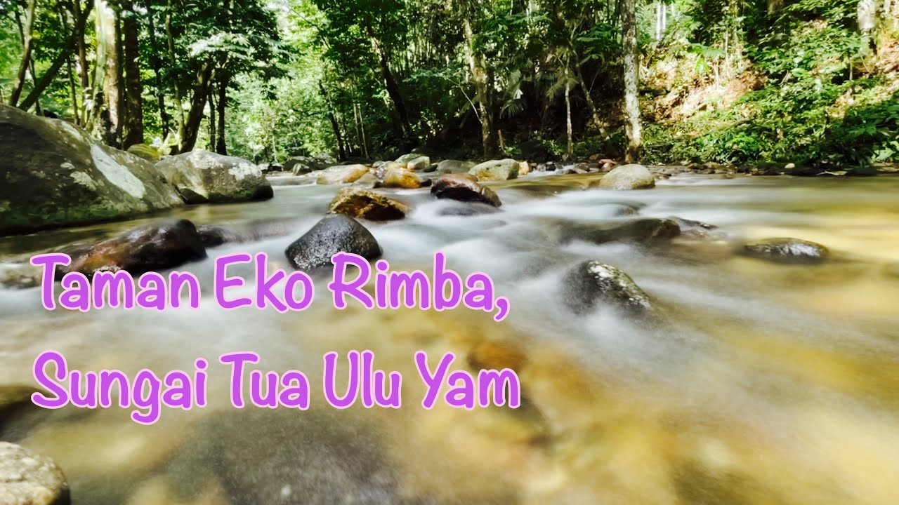 Taman Eko Rimba Sungai Tua Ulu Yam Youtube