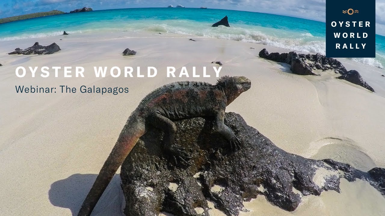 Oyster World Rally: Webinar - The Galapagos | Oyster Yachts