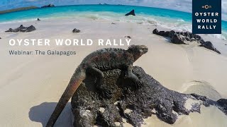 Oyster World Rally: Webinar - The Galapagos | Oyster Yachts
