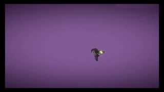 LittleBigPlanet™3 Bug