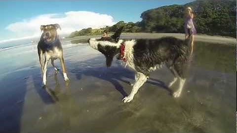 GoPro 3 Slow Motion Final Cut Pro X Optical Flow 120fps