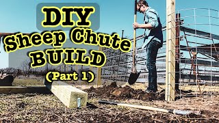 DIY SHEEP CHUTE BUILD (PART 1) |  Homemade Handling System for Sheep