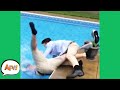 At Least They FAILED Together! 😅 | Funny Fails | AFV 2020