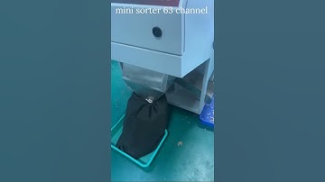 "Kidney Beans Color Sorting Machine in Action | High-Speed Bean Sorting Technology"