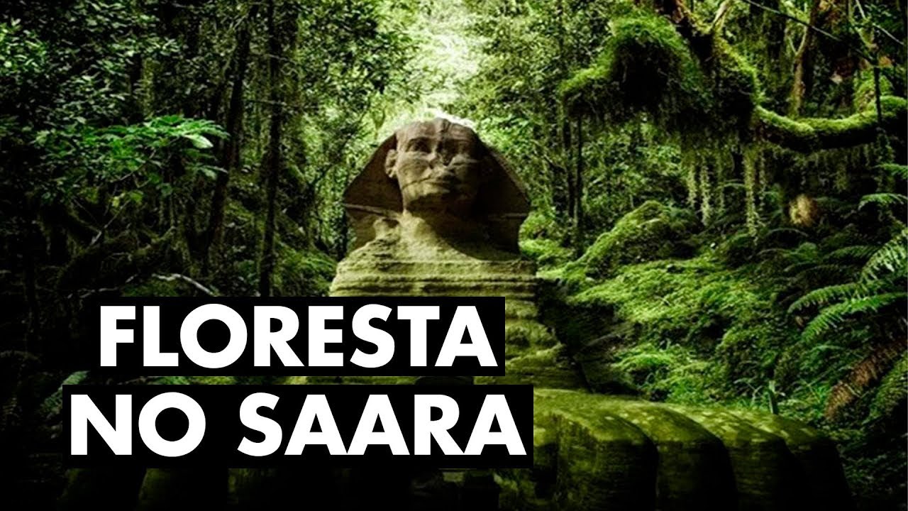 E se o Saara pudesse ser transformado em uma floresta?