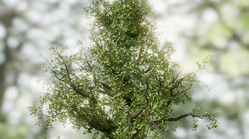 Growing Tree - Blender Geometry Nodes