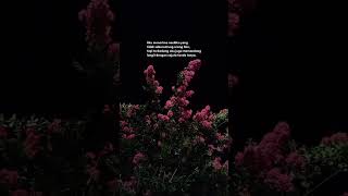 💔 #shorts #fyp #life #quotes #alunanmimpi #nyomanpaul