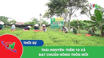 Thái Nguyên: thêm 10 xã đạt chuẩn nông thôn mới