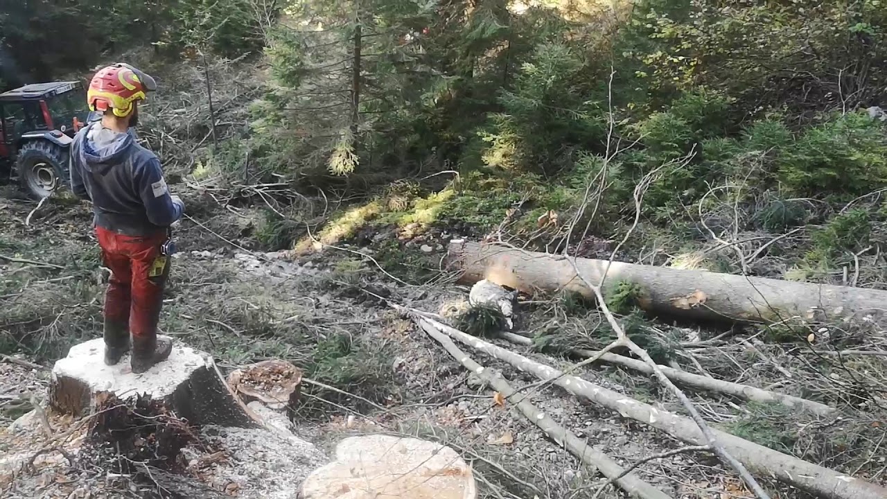 Tajfun 2x55 and Valtra 8350