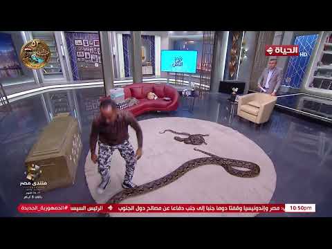 هتشوف العجب في "واحد من الناس"😱.. أضخم ثعبان ممكن تشوفه في الوطن العربي مع إبراهيم كوبرا🐍
