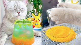 Cat Cooking Food ASMR ||Sprite Homemade Drinks || Easy Recipes To Make