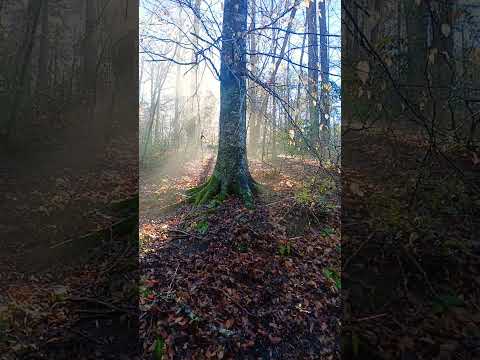 Did Ancient Civilizations Know About A Hidden World Below Us?