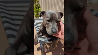 The Lean In Though...