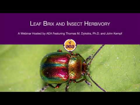 Why insects do not (and cannot) attack healthy plants | Dr. Thomas Dykstra | Regenerative Ag