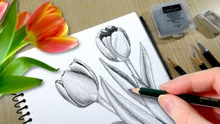 How to Draw a Tulip Flower Step by Step