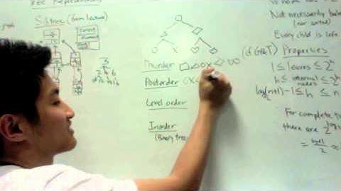 Trees and Binary Trees - Data Structures in 5 Minutes