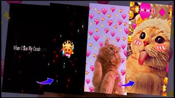 When I See My Crush My Reaction Video Alight motion -New Trend Reel Status - New Cat Emoji Video