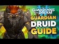 102 guardian druid raid and m guide  dragonflight season 3