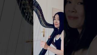 Keren Ann - Au Coin Du Monde (harp cover short)