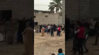 ١٢ شباط، ٢٠١٧