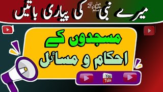 Mere Nabi Ki Pyari Baatein Masjidon Ke Ahkam Masajidon Ke Masail